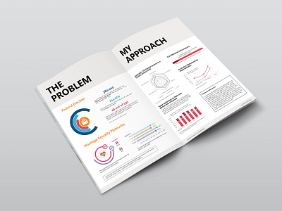 Data visualisation brochure data visualization election flyer graph info graphic infograph infographic designer pitch deck politics presentation deck print design visual design