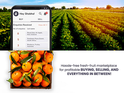 buy and sell fruits at one marketplace