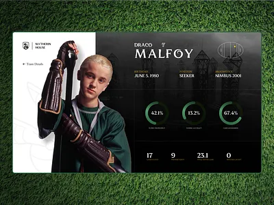 Hogwarts Quidditch Website dashboard draco malfoy gryffindor harry potter hogwarts player quidditch slytherin sports statistics stats team