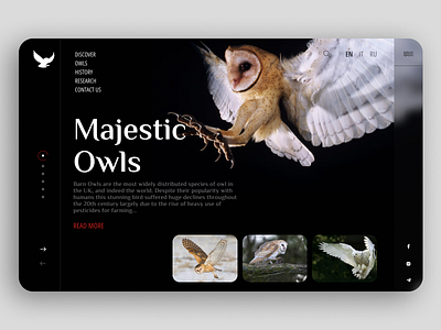 WEB - OWLS bird branding simple typography ui ux web