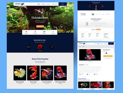 VisionKu Betta uiuxdesign webdesign