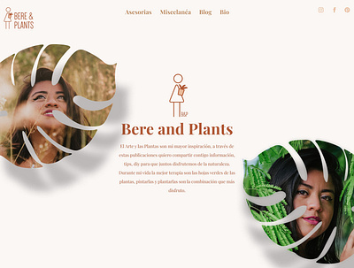 Bere and Plants ecommerce ux web design