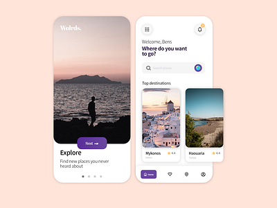 Travel and booking app concept