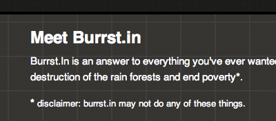Meet Burrst.in