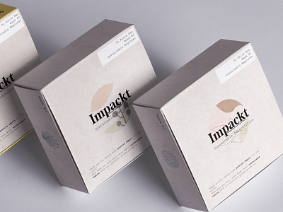 Packaging Design for Impackt design packaging visual design visualization