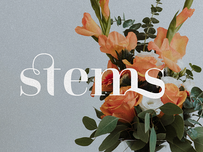Stems - Floral Visions Logo branding design floral flower graphic design illustration illustrator logo oregon portland vector