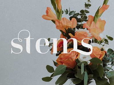 Stems - Floral Visions Logo