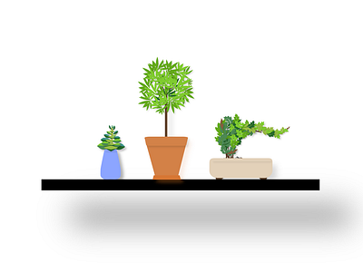 Floating Plant Shelf