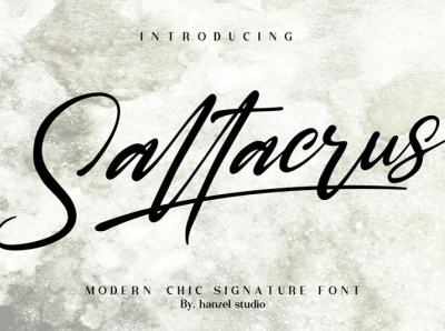 Saltacrus - Chic Signature Font brand brush brush fonts calligraphy calligraphy fonts design dry font handwriting handwritten illustration letter lettering logo signature website font