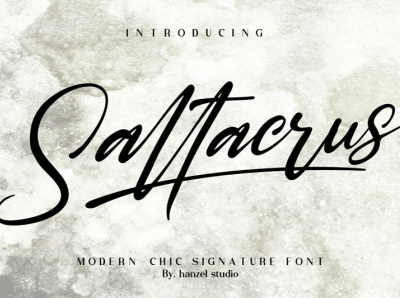 Saltacrus - Chic Signature Font