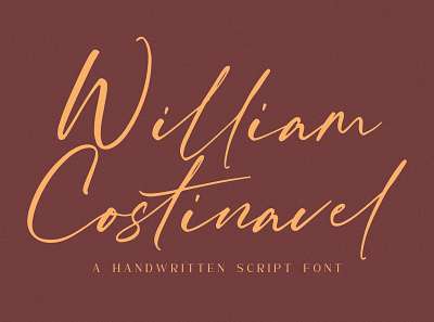 William Costinavel Script Font brand brush brush fonts calligraphy calligraphy fonts design dry font illustration logo vintage font