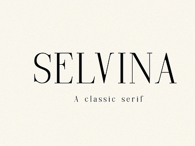 Selvina - A Classic Serif brand brush brush fonts calligraphy calligraphy fonts design dry font illustration logo website font