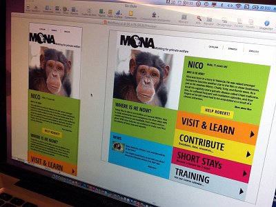 Web MONA chimps ngo web