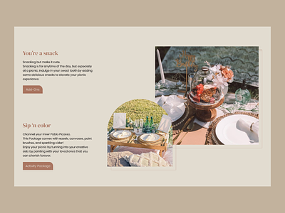 Elevate your picnic experience - Picnic n' Chill brand design design landing page luxury picnic picnic website product design uiuxdesign user user user experience user interface design web design webdesigner website