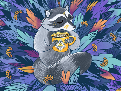 Raccoon 2d animal art character doodle illustration procreate