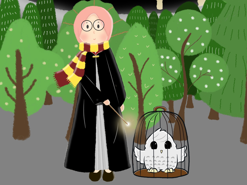 HARRY POTTER??? artworks hedwig harry potters children illustrations children books illustration