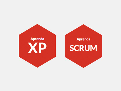 Learn XP and SCRUM agile agile development home interface red scrum ui web design xp