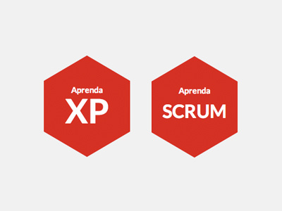 Learn XP and SCRUM