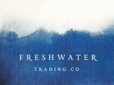 Freshwater Trading Company branding erin waineo freshwater logo michigan type typography water watercolor