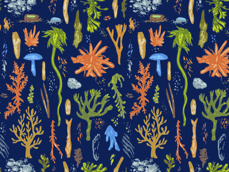 Beach Flotsam in Color by Paul Antonson on Dribbble