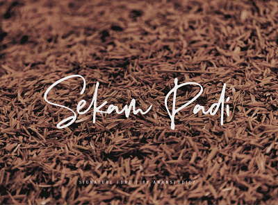 Sekam Padi - Signature Font by Awanstudioz awanstudioz brush calligraphy font handlettering handwritten script font script lettering typography