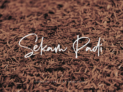 Sekam Padi - Signature Font by Awanstudioz
