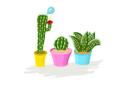 Cactus minimalist animation animations cactus illustration