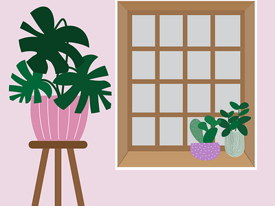 Plants on the window