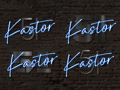 Bar Kastor logo design logo typography