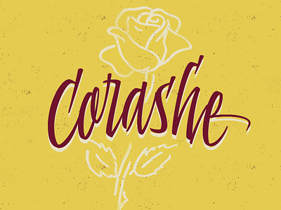 Corashe bloom calligraphy corashe custom lettering hand drawn hand lettering handmade illustration lettering rose