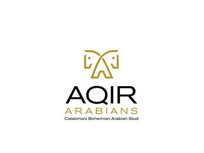 AQIR LOGO arabian horse horse logos