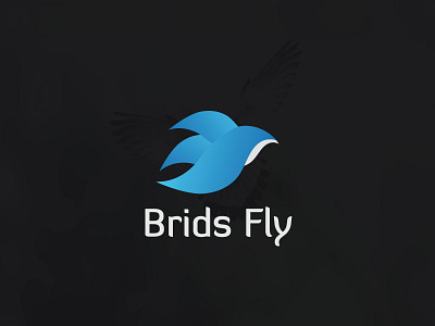 Brids Fly Logo Design