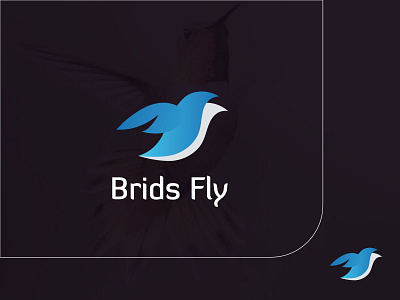 Brids Fly Logo Design branding logo brids logo business logo creative logo design fly logo logo logo brids logo design vector logo