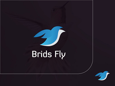 Brids Fly Logo Design