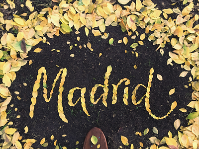 Madrid Lettering en Parque Retiro