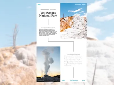 Travel Destination concept daily ui design destination interface national parks travel traveling ui ux yellowstone