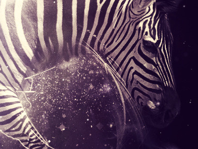 Fauna animal color cosmic future illustration nebula zebra