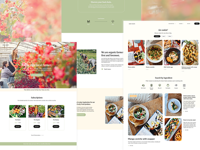 Local CSA Farm Web Design