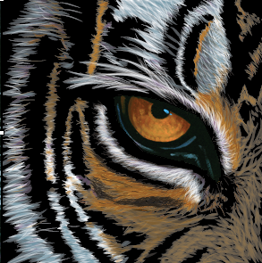 Tiger illustration illustrator tiger vector