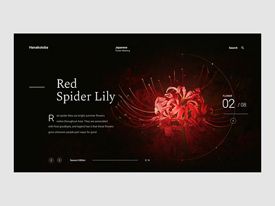 Hanakotoba Web Design dark flourist flower glow hanakotoba minimal red and black typography uidesign webdesign website website design