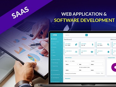 i will build web app   software development