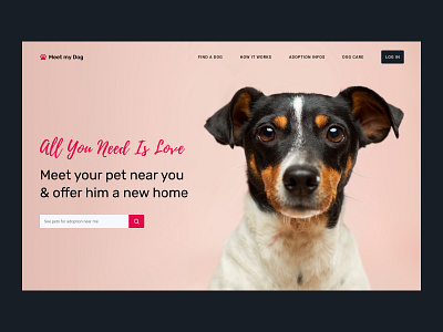 Landing page adoption branding design dog ui web