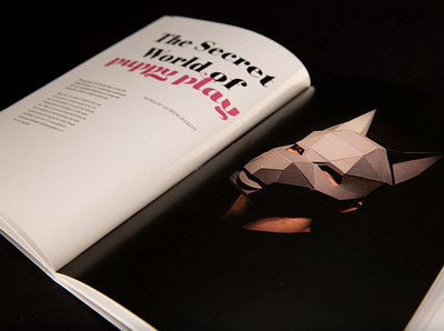 Modify Magazine design layout layoutdesign magazine magazine spread typography