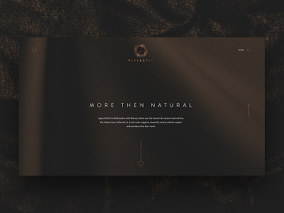 Perfectus concept desktop ecommerce fashion leather minimal minimalism site ui ux web