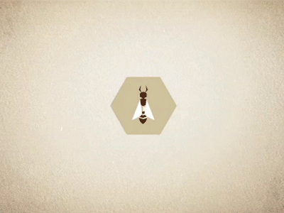 Queen Bee in her Hive motion graphics