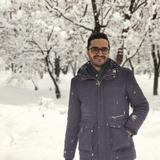 Mohammad Amin Kaviani
