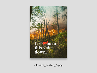 Let's not burn this shit down. design print