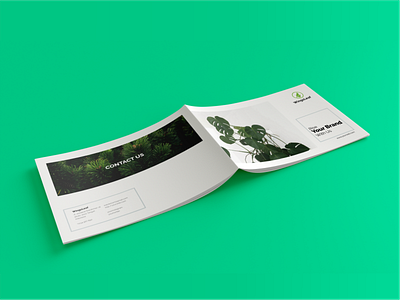 Brochure Design Template abstract annual annualreport background book booklet brochure business calm catalogue cover design green layout magazine marketing minimalist modern presentation template