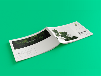 Brochure Design Template