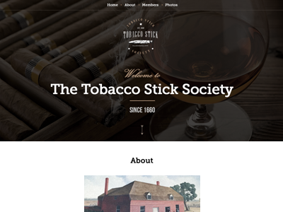 Tobacco Stick landing webdesign